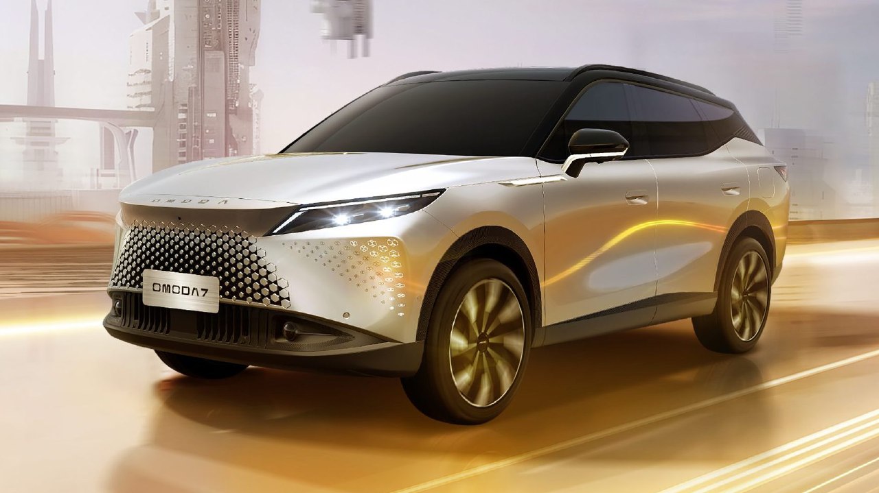 photo_2024-11-20_11-58-08_large