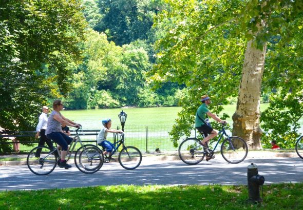 f1f4c44f8cb1551c7ddbbd65bc219912